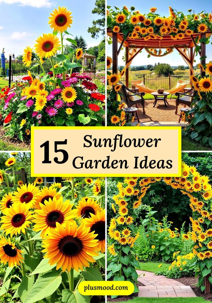 How to Plan a Sunflower Garden
