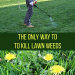 What to Put on Lawn in Fall to Kill Weeds