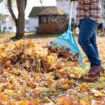 Caring For Your Yard in the Fall