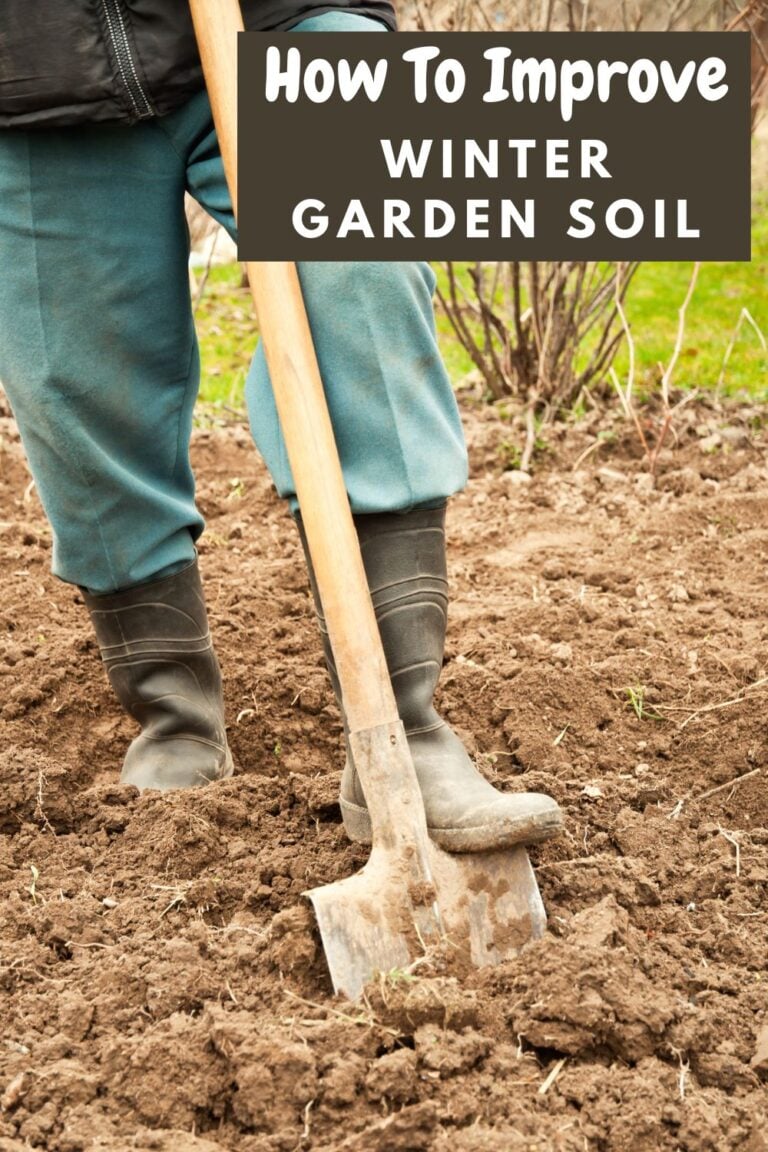 How To Improve Garden Soil Over The Winter
