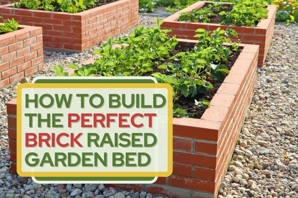 How To Build A Brick Raised Garden