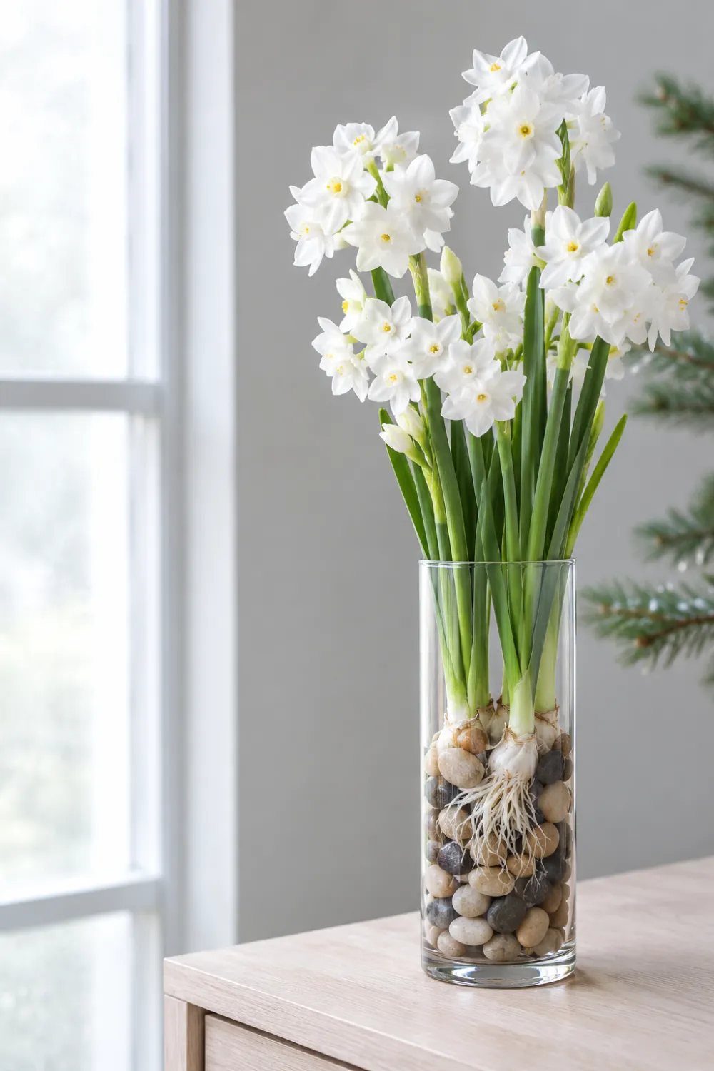 Paperwhites in Glass