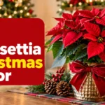 Poinsettia Christmas Decor