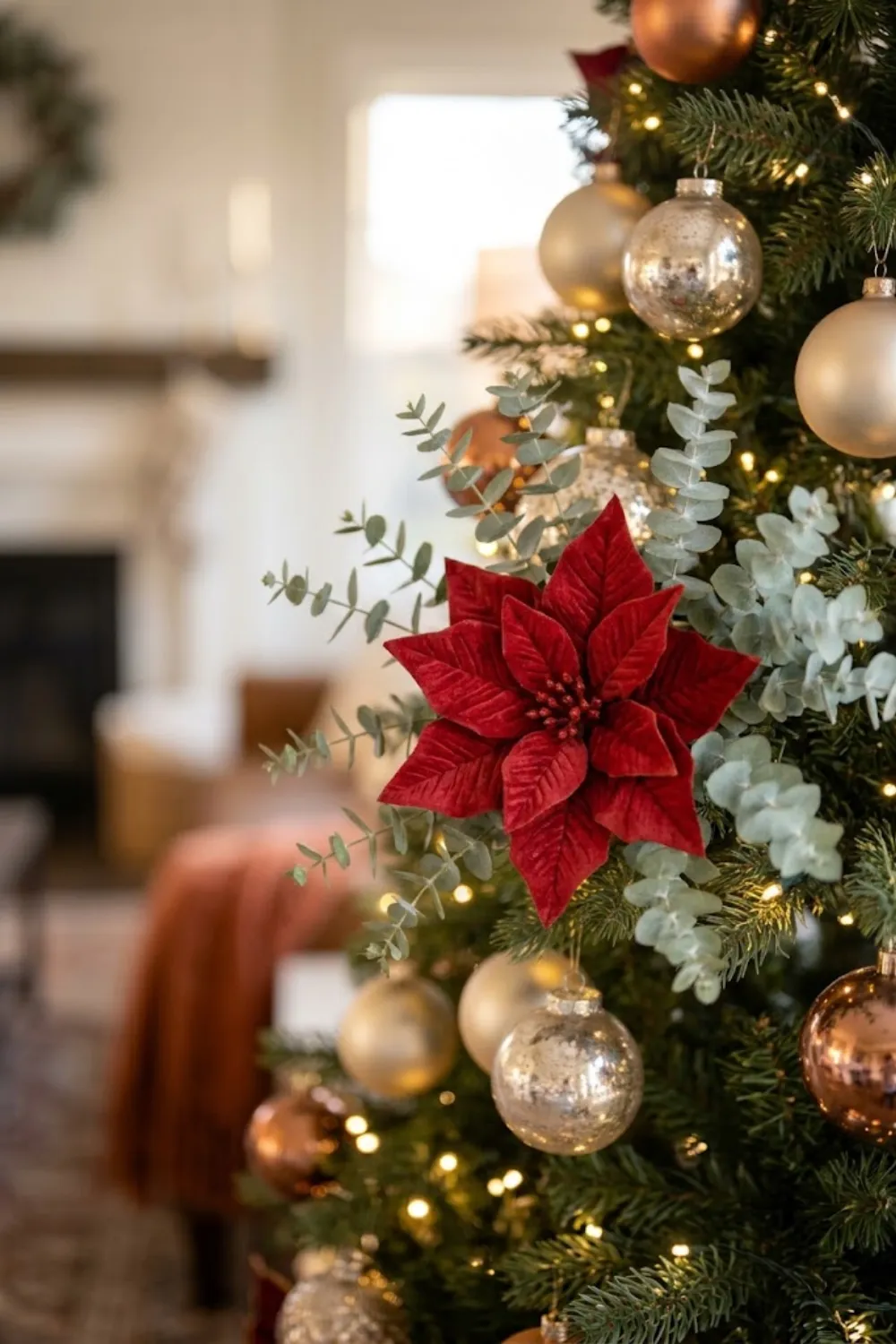 Poinsettias and Eucalyptus