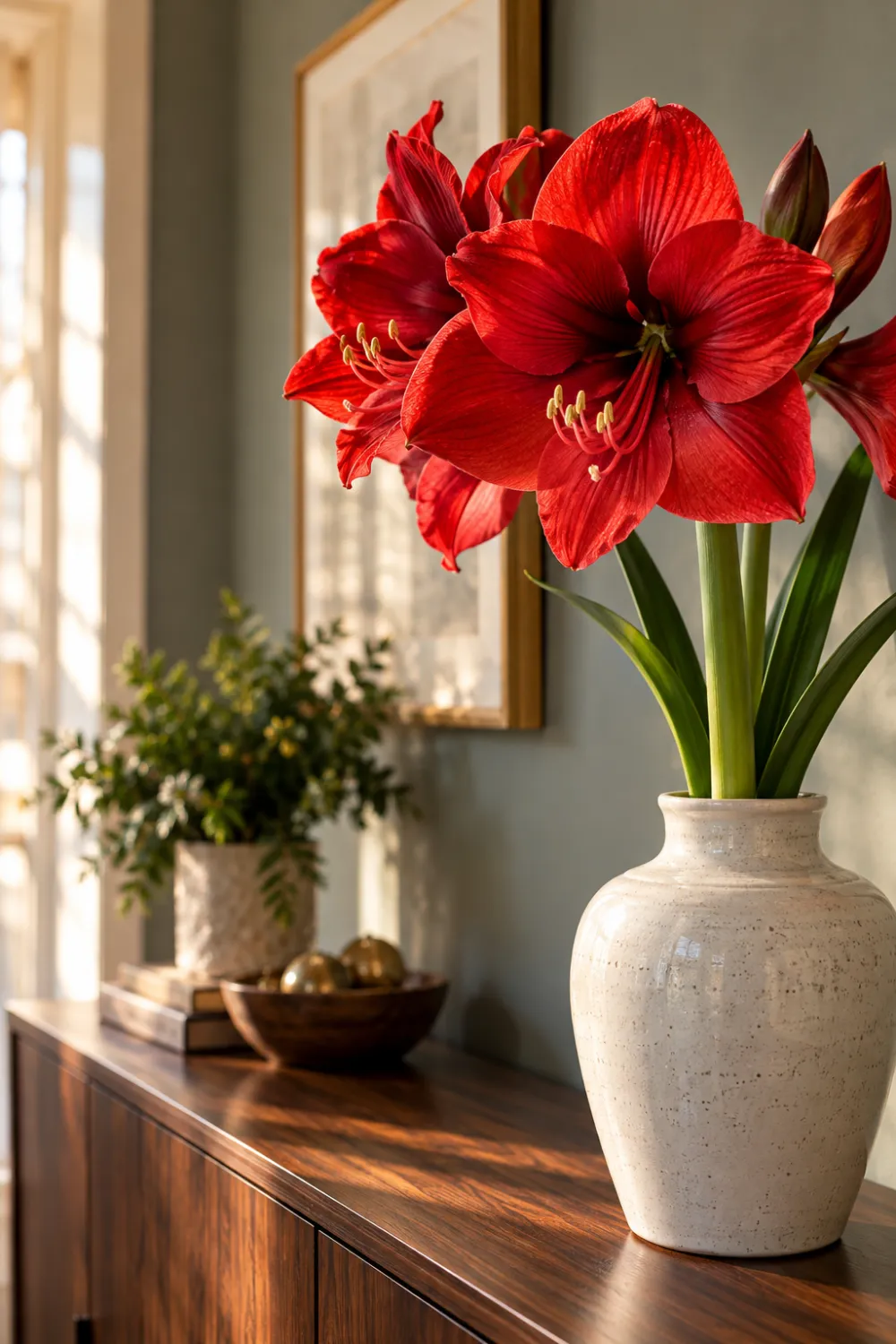 Single-Stem Amaryllis