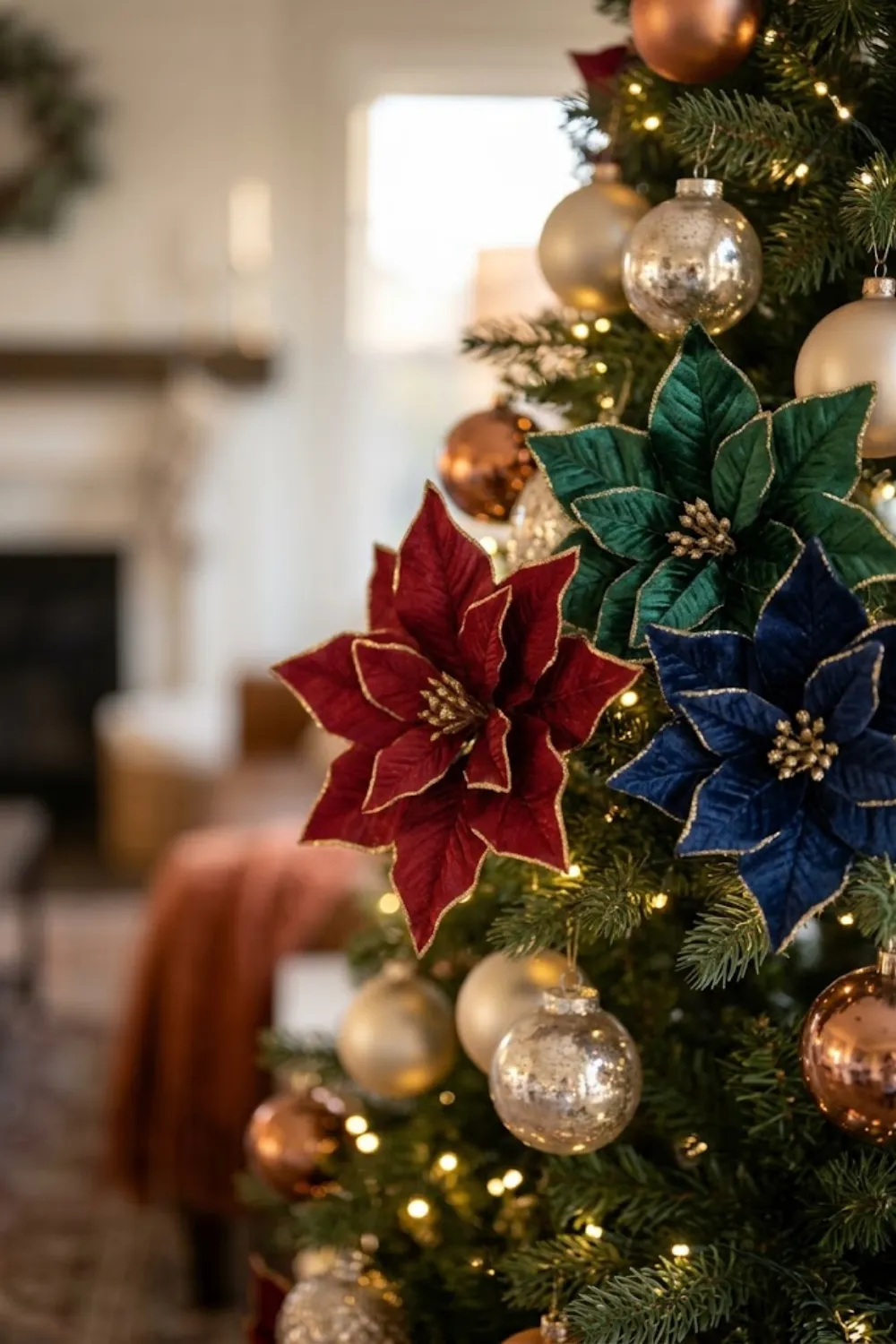 Velvet Poinsettias
