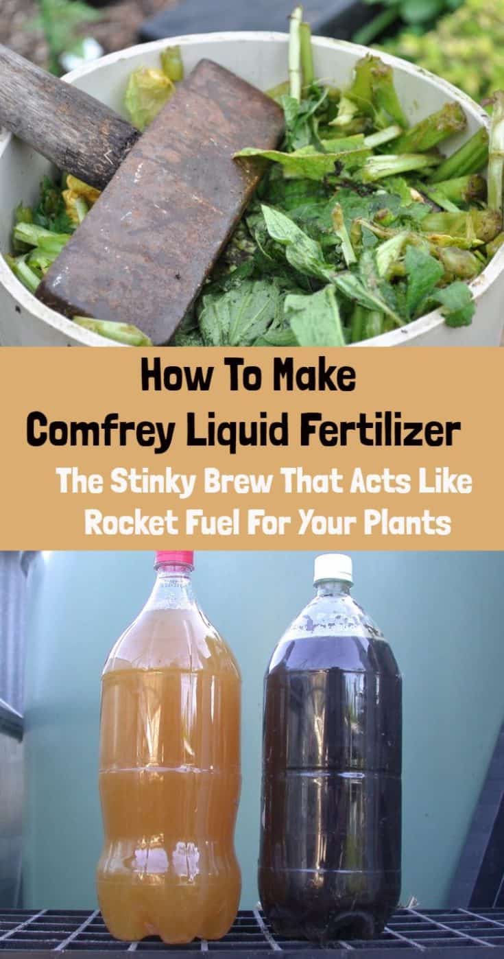 How To Make Comfrey Fertilizer